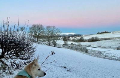 Borthwick Farm Cottage Annex - Foto 23