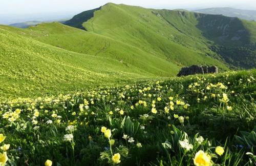 BIENVENUE AU LIORAN - Photo 13