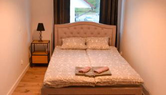 Apartament całoroczny Bieszczadzka Gawra - Foto 2