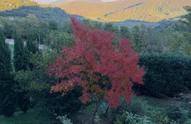 Lodge Villa Maria - Foto 55