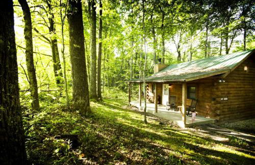 Romantic Cabin Rental in the Forest near Beckley, West Virginia - Foto 6