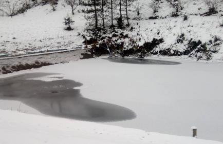 Domek nad stawem - Foto 64