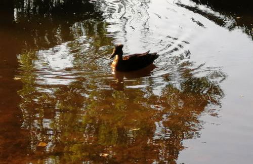 In Summo Monte - Foto 30