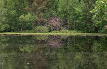 Domaine des Quatre Vents - Foto 42