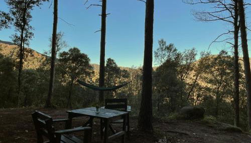 Cabañita de madera en Mas Coguleras - Foto 5