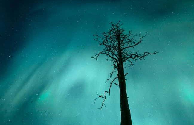 Balade en motoneige sous les aurores boréales - Photo 4
