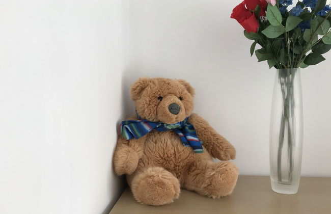 The Woodfarm Lodge - 3 Bedroom House - Foto 29