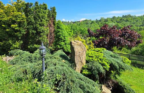 Brzozowy Zakątek - Foto 80