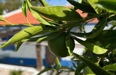 Casa da Eira - Foto 9