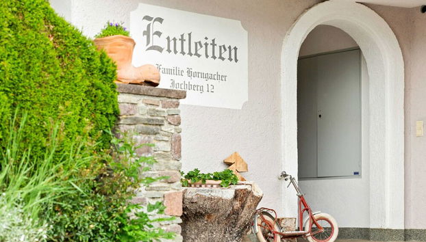 Sunlit Apartment Near Ski Area in Hollersbach im Pinzgau - Foto 2, Recepción