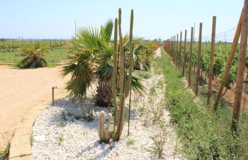 Smiles & Sunsets - Marino's Resort - Foto 155