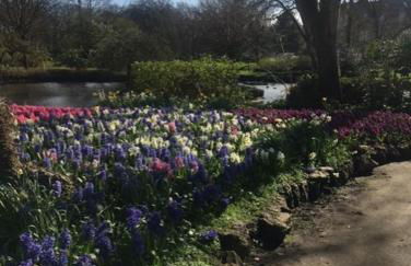 Woodlands Holiday Apartments - Foto 51