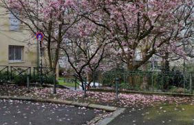 Studio centre Rennes - Foto 9