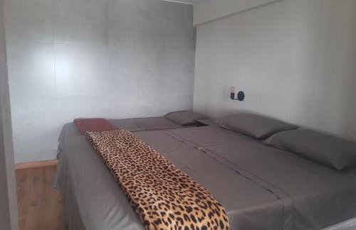 Studio Libertas - Foto 20