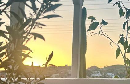 Galanis Sweet Home Milos - Foto 31