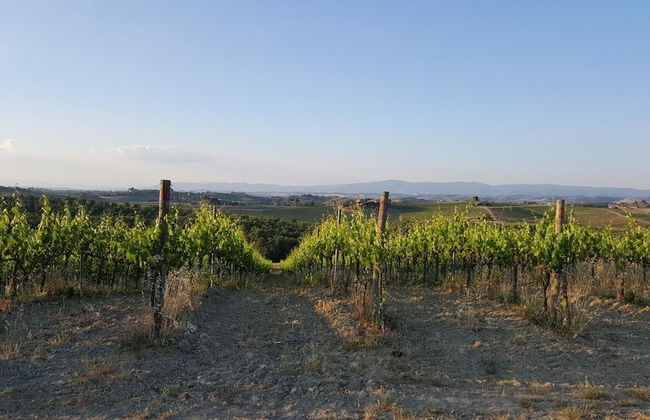 Agriturismo Podere Casa al Vento - Photo 45