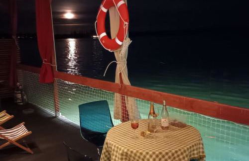 Ma maison sur L'eau - Lac du Der - Foto 7