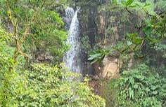 Senderismo por las Cascadas Escondidas - Foto 1