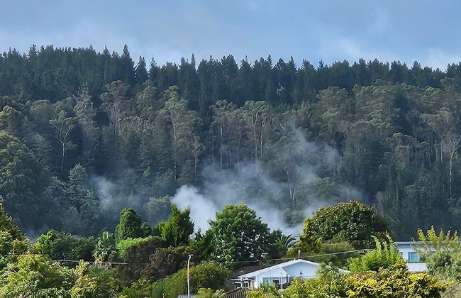 Redwood Apartments - Foto 24