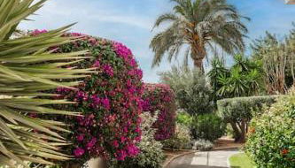 Playa Carabassi Villa - Foto 4, Garden