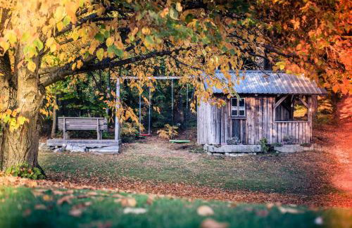 Ferienhof Stöhrmühle - Foto 70