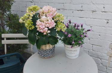 Schönes Haus mit großem Garten - Foto 29