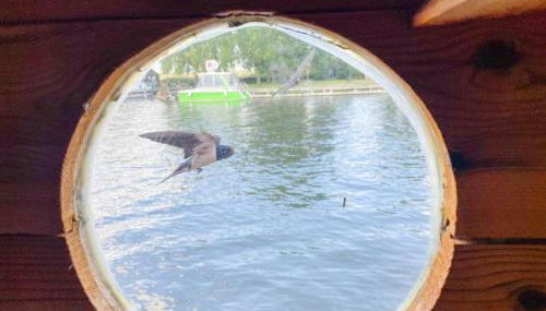 Hausfloßvermietung auf der Peene am Kummerower See in Mecklenburg Vorpommern 15 PS - Foto 3