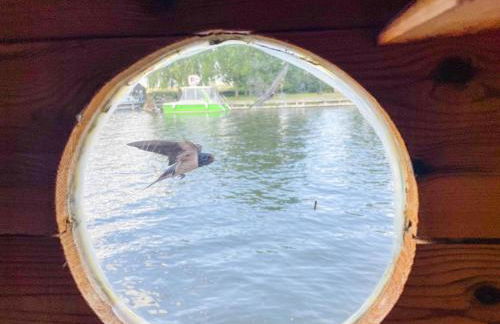 Hausfloßvermietung auf der Peene am Kummerower See in Mecklenburg Vorpommern 15 PS - Foto 3