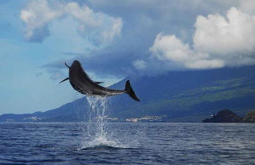 Casa de Basalto - Photo 50