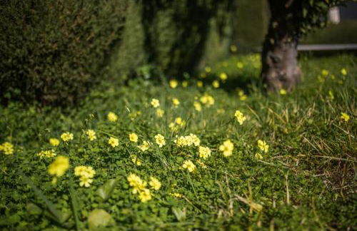 LA MALMAISON AP1064 Villefranche-sur-Mer, by RIVIERA HOLIDAY HOMES - Foto 24