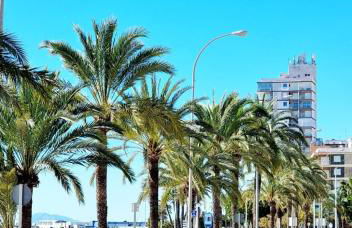 SUNSHINE Apartment - Photo 30