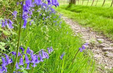 Mill Farm Retreat - Foto 59