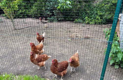 Am Storchennest - Foto 22