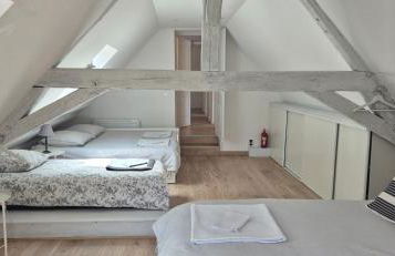 Domaine des Aulnaies - Beauval - Mareuil sur Cher - Foto 45