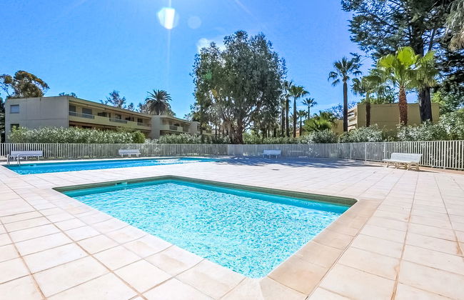 Les Eucalyptus - Foto 1