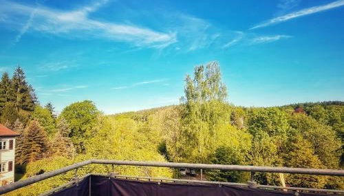 Quartier Apartment - alte Steigerbaude - Foto 3