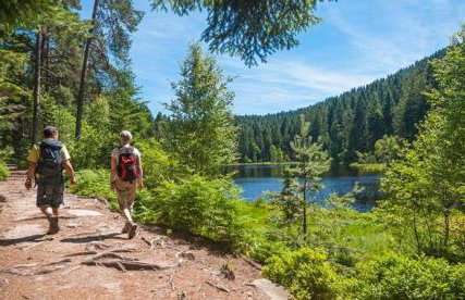 Frankenberg-am-Wald Frankenberg an der Eder - Foto 29