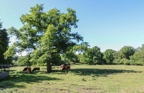 The White Cloud Bus - Foto 26