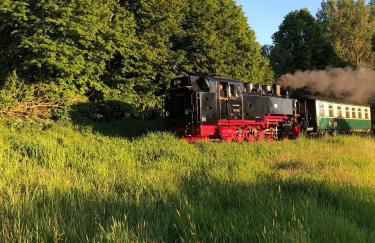 Fewo Storchennest - Foto 22