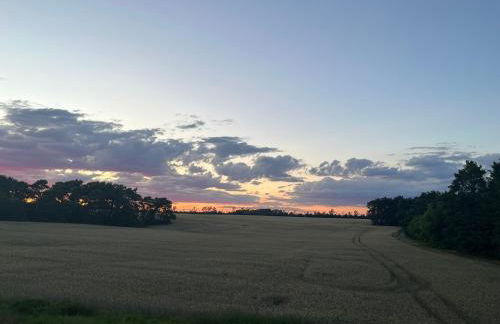 TOP-Ferienwohnung bei Berlin, bis 3 Gäste, Terrasse und Garten - Foto 34