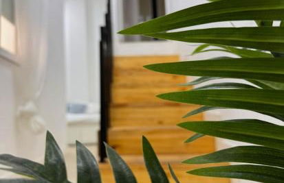 Costa by Hawkins Algeciras - Interior 1B - Foto 3