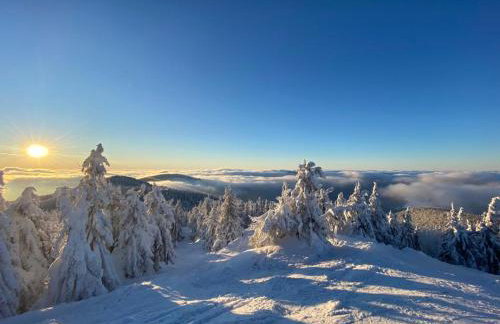 Czym Chata Bogata - Foto 58