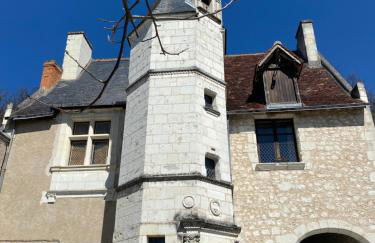 Manoir des Roches 41 - Foto 15