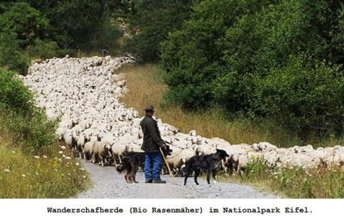 Ferienwohnung Gross A - Foto 19