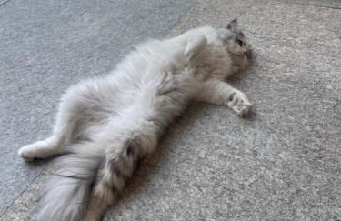 Gli Archi di Aldalu - Photo 8