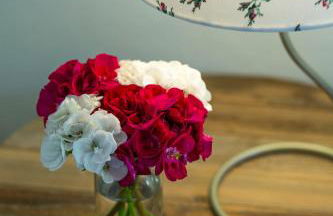 Fattoria di Magliano Winery - Foto 41