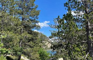 Apartament Rural Burg - Foto 38