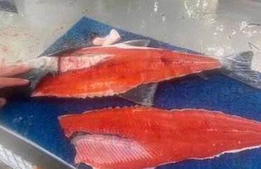 Kenai Living Waters - Fishing Paradise - Foto 25