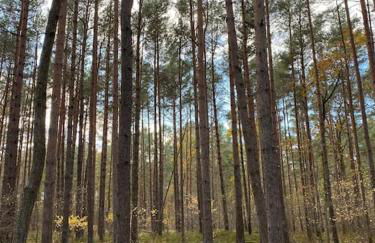 Ferienwohnung für Naturliebhaber - Foto 21