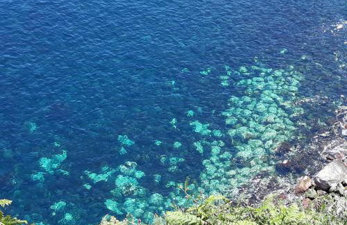 Vivenda Areias - Photo 24